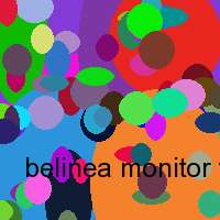 belinea monitor treiber xp